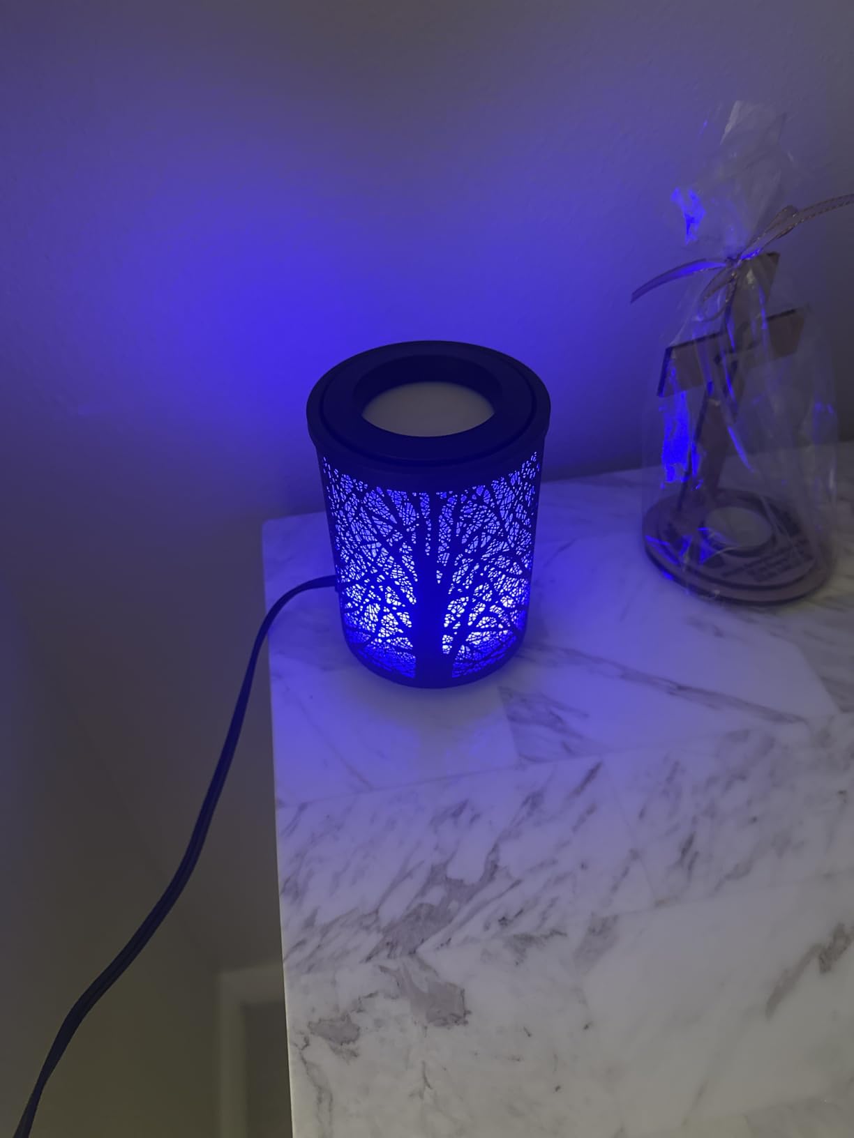 Leyoue Electric Wax Melt Warmer PTC Heating Plate with 7 Colors LED Changing Light Wax Warmer Fragrance Warmer for Home Office Gifts & Decor(Black Forest) customer photo 2