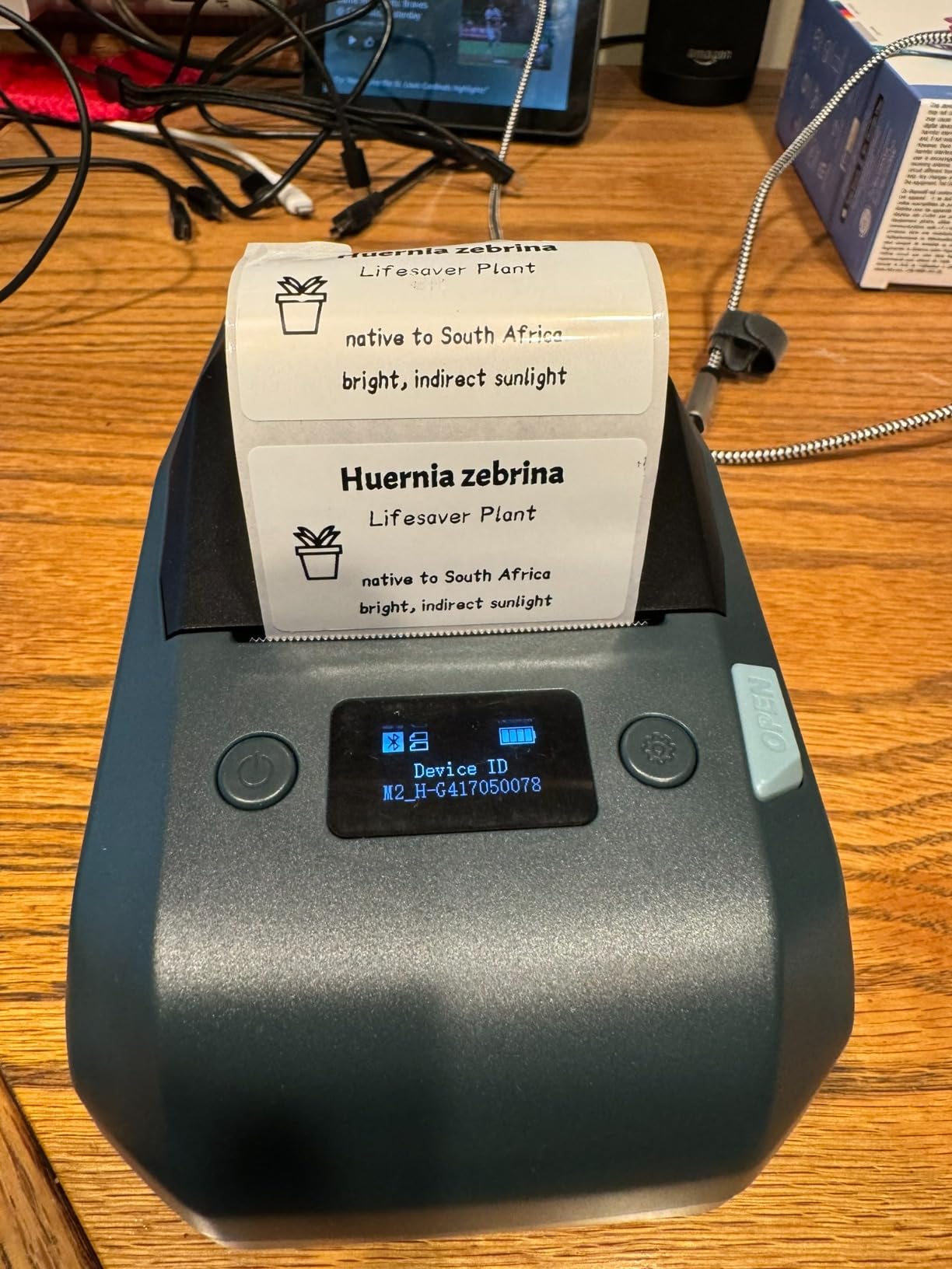 NIIMBOT M2 Thermal Transfer Label Maker, Label No Fading for Office Lab Use customer photo 2