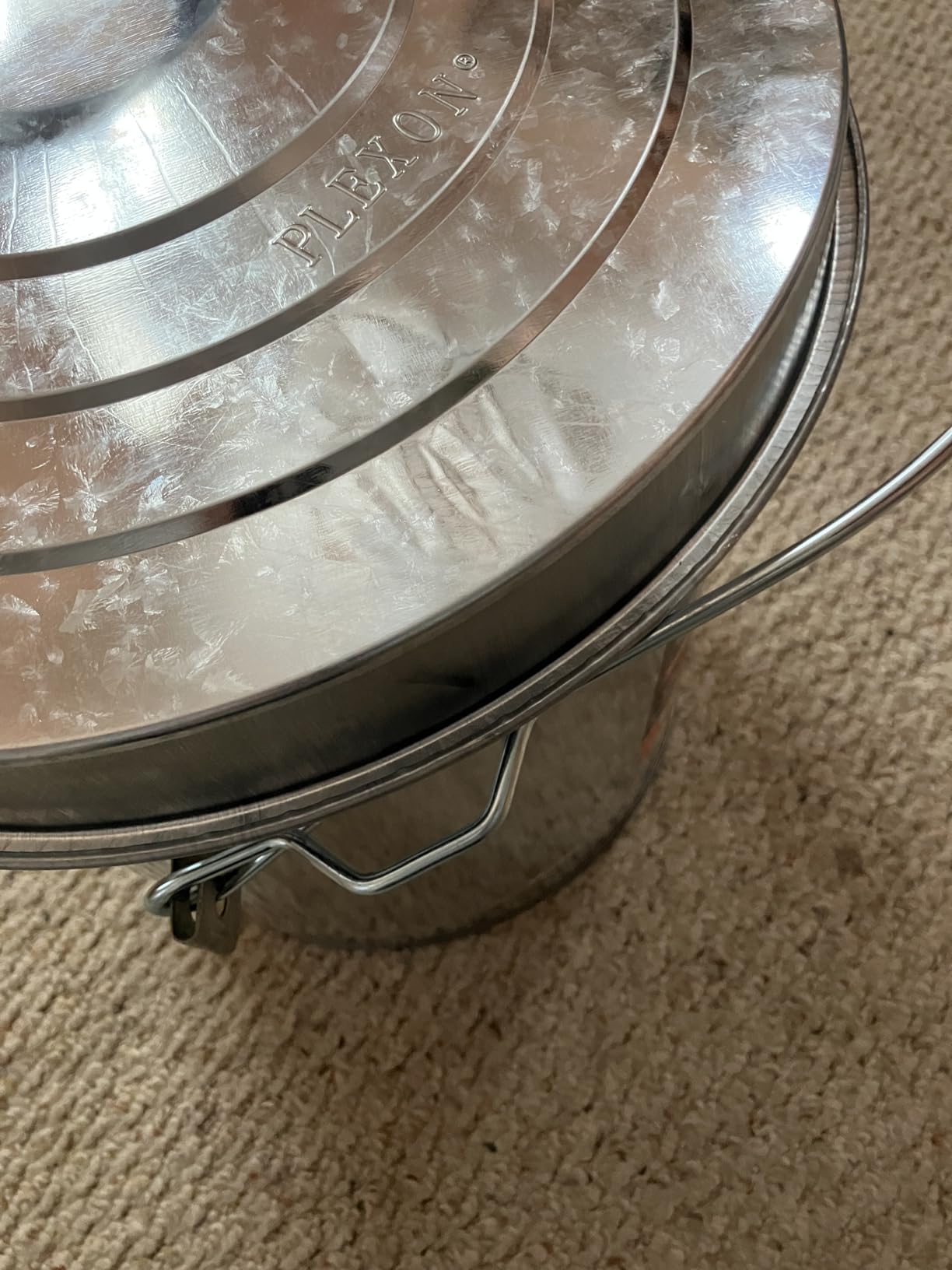 Plexon 6 Gallon Small Metal Trash Can with Lid Outdoor Locking Galvanized Metal Garbage Can with Lid for Poultry Feed Bird Seed Storage Ash Galvanized Bucket customer photo 1