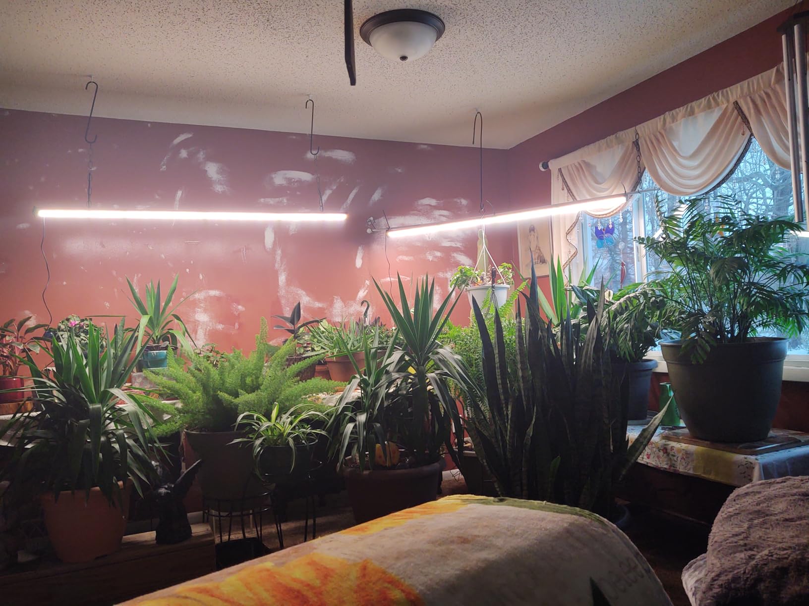 GLOWRIUM 60in Standing Grow Light, Vertical Grow Lights for Indoor Plants | 36W Growing Lights with 3 Light Modes, 268 LEDs Detachable Full Spectrum Plant Lights for Wide Area Coverage in Indoor Plants customer photo 1