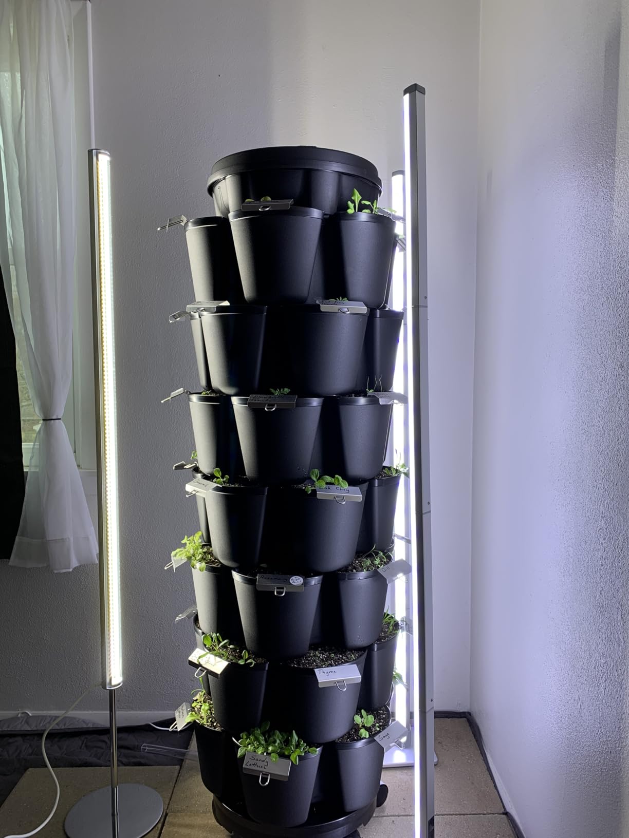 GLOWRIUM 60in Standing Grow Light, Vertical Grow Lights for Indoor Plants | 36W Growing Lights with 3 Light Modes, 268 LEDs Detachable Full Spectrum Plant Lights for Wide Area Coverage in Indoor Plants customer photo 2