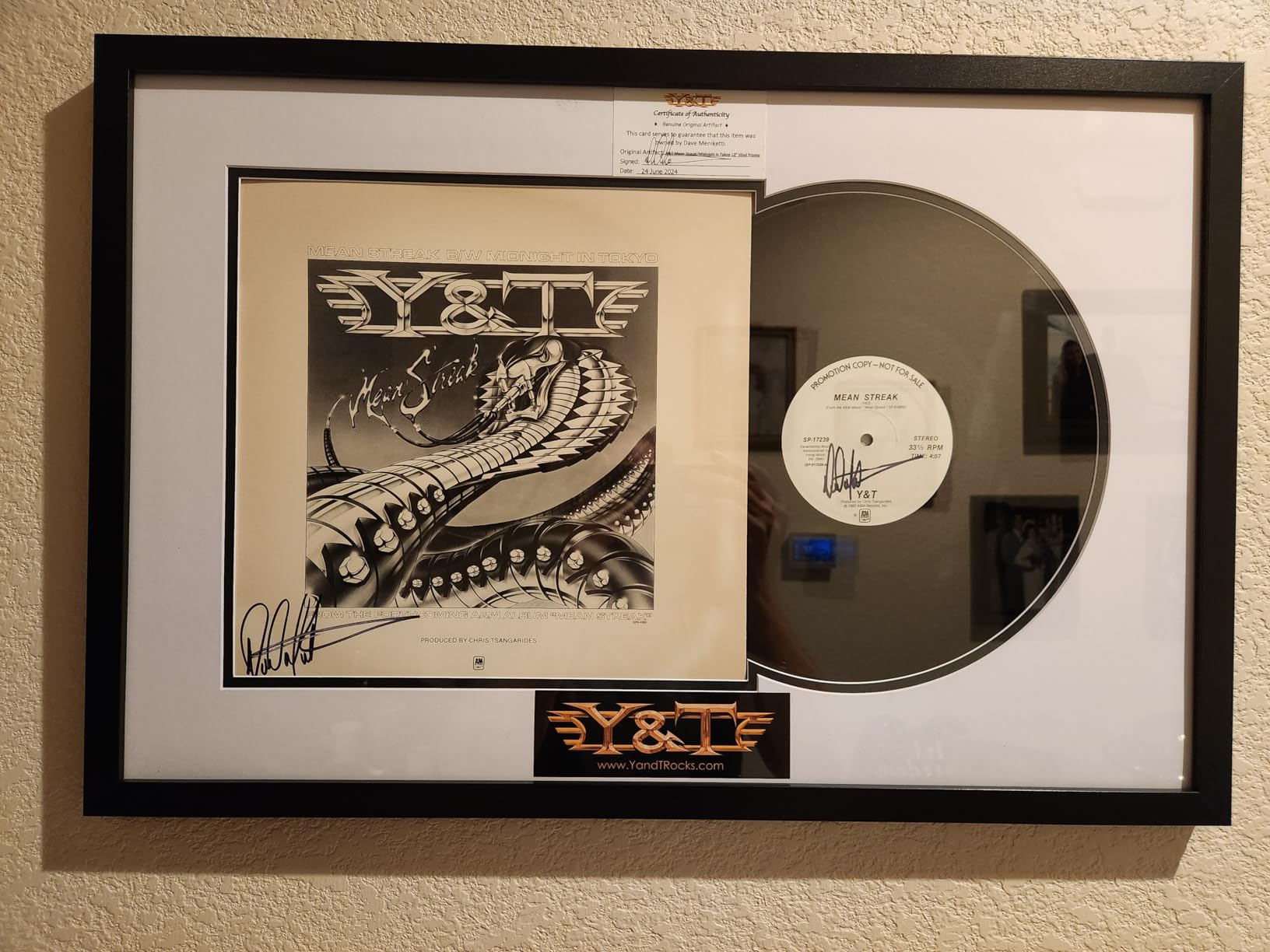 Americanflat 25x16.5 Record Album Frame with Shatter-Resistant Glass - Use as 12.5x12.5 Album Cover Frame with Mat - Brooklyn Portrait Collection - Engineered Wood Frames for Wall - Black customer photo 2