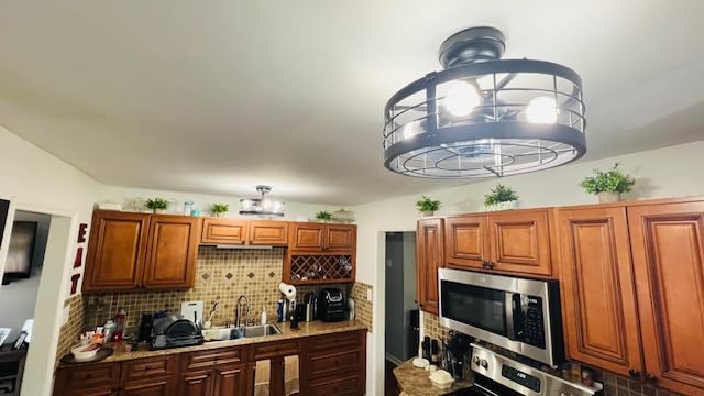LEDIARY 20 inch Fandelier Caged Ceiling Fan with Light and Remote, Black | 6 Speed Adjustable, Timing, Quiet & Powerful DC, Small, Farmhouse, Industrial, Enclosed, Bladeless, Bedroom, Kitchen, Downrod customer photo 1