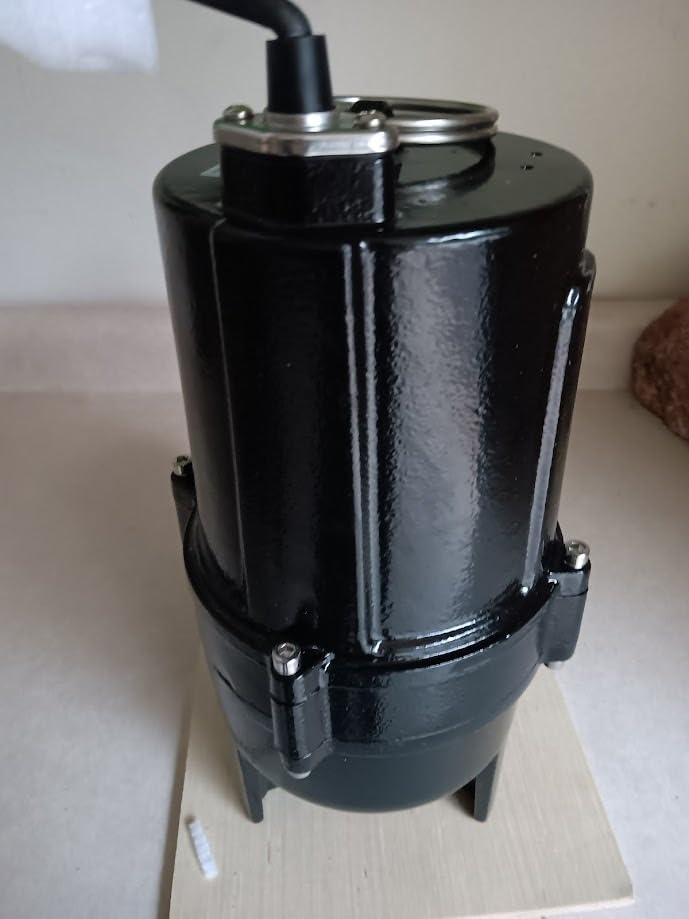 WASSERMANN 3/4 HP Sewage Pump 2 inch Discharge with Auto Float Switch, 115V 7200 GPH Cast Iron Submersible Sewage Pump, Sump Pump for Basement Sump Basin Sewer Well 2