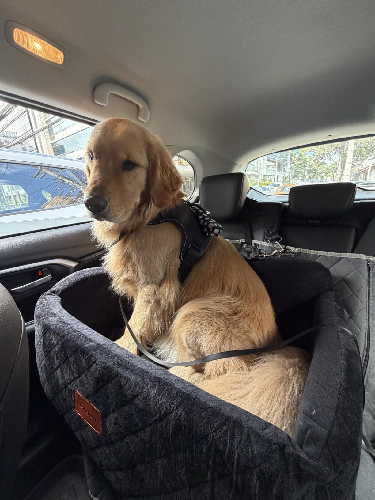 Lealchum Dog Car Seat for Large Size Dog, Soft Fabric Car Dog Bed Filling Memory Foam, 2 Clip-On Safety Leashs and 2 Pockets, Removable and Washable Comfy Pet Car Seat (Black/Brown, Large) customer photo 1