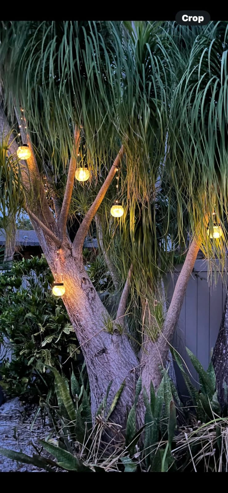 Solar Lanterns Solar Lights Outdoor Waterproof 6-Pack, Solar Powered Hanging Lights Cracked Glass Hanging Globes for Christmas Decoration, Shepherd Hook, Garden Tree Ornaments customer photo 2