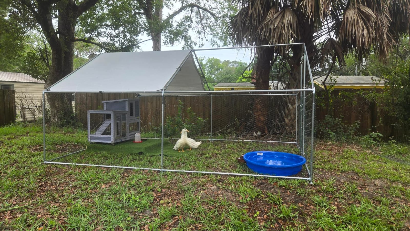 HEYTOWN Large Metal Chicken Coop Chicken Pen with Water-Resident and Anti-UV Cover Walk-in Poultry Cage Chicken Runs for Yard with Cover Duck Rabbit Dog House Outdoor customer photo 1