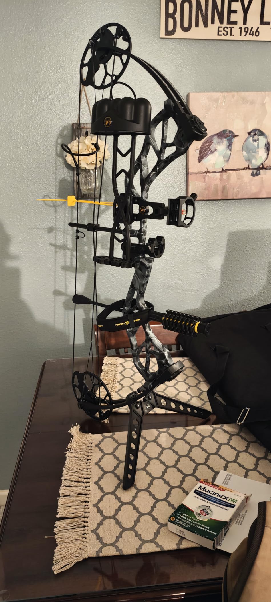 TOPOINT ARCHERY Starting Hunting Compound Bow Package for Beginner & Intermediate Archers Archery Equipment with All Accessories Kit DW:19-70LB, DL:19-30