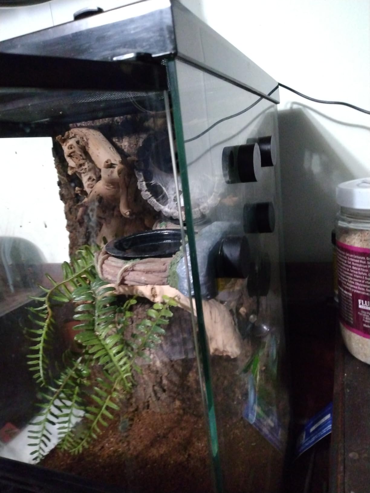 REPTIZOO Magnetic Reptile Hide Cave Resin Hollow Tree Trunk Hideout customer photo 1