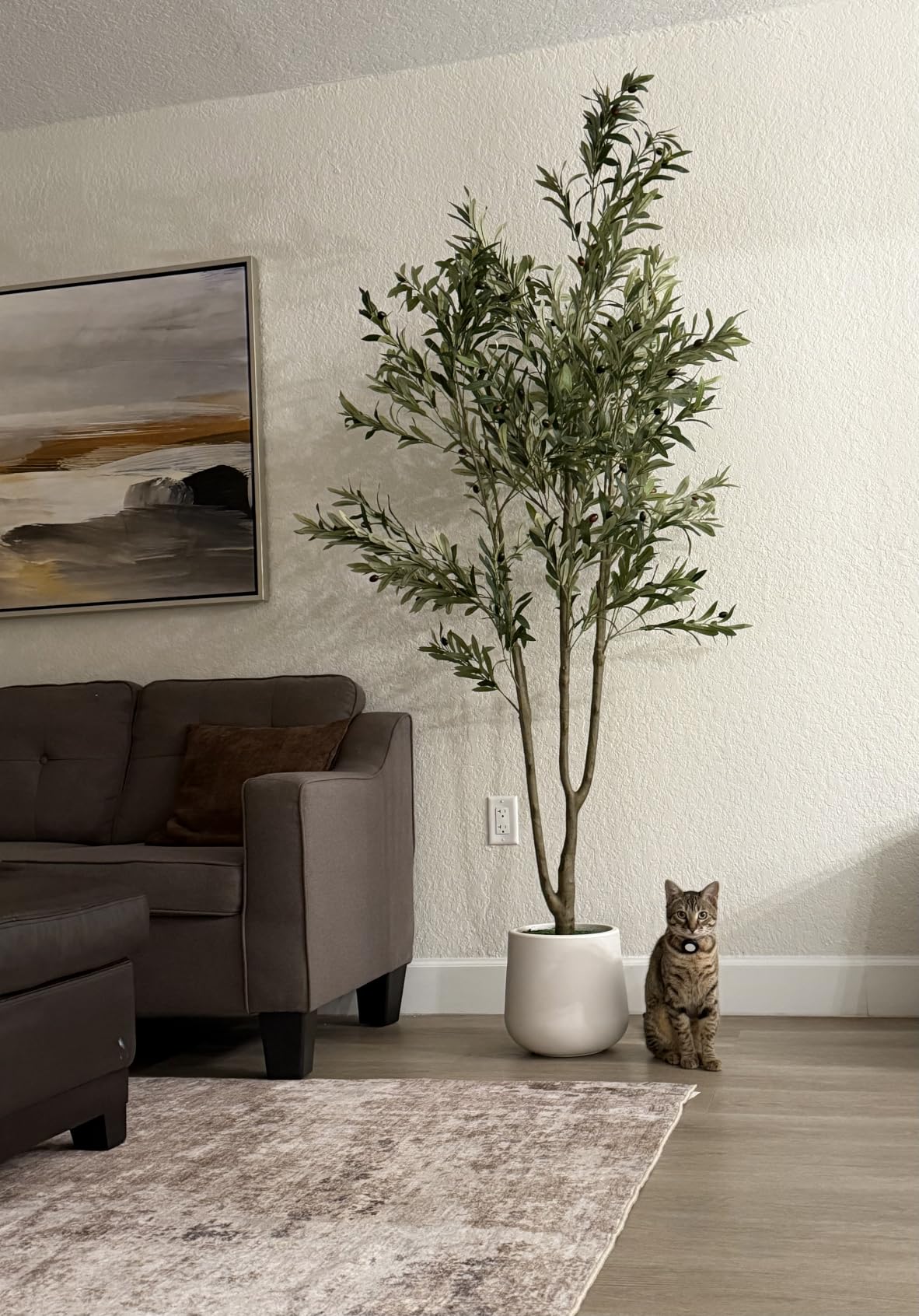 VIVATREES Olive Trees Artificial Indoor, 5FT Tall Faux Olive Tree with White Tall Planter, Artificial Plants with Natural Wood Trunk and Lifelike Fruits for Home Office Decor customer photo 1