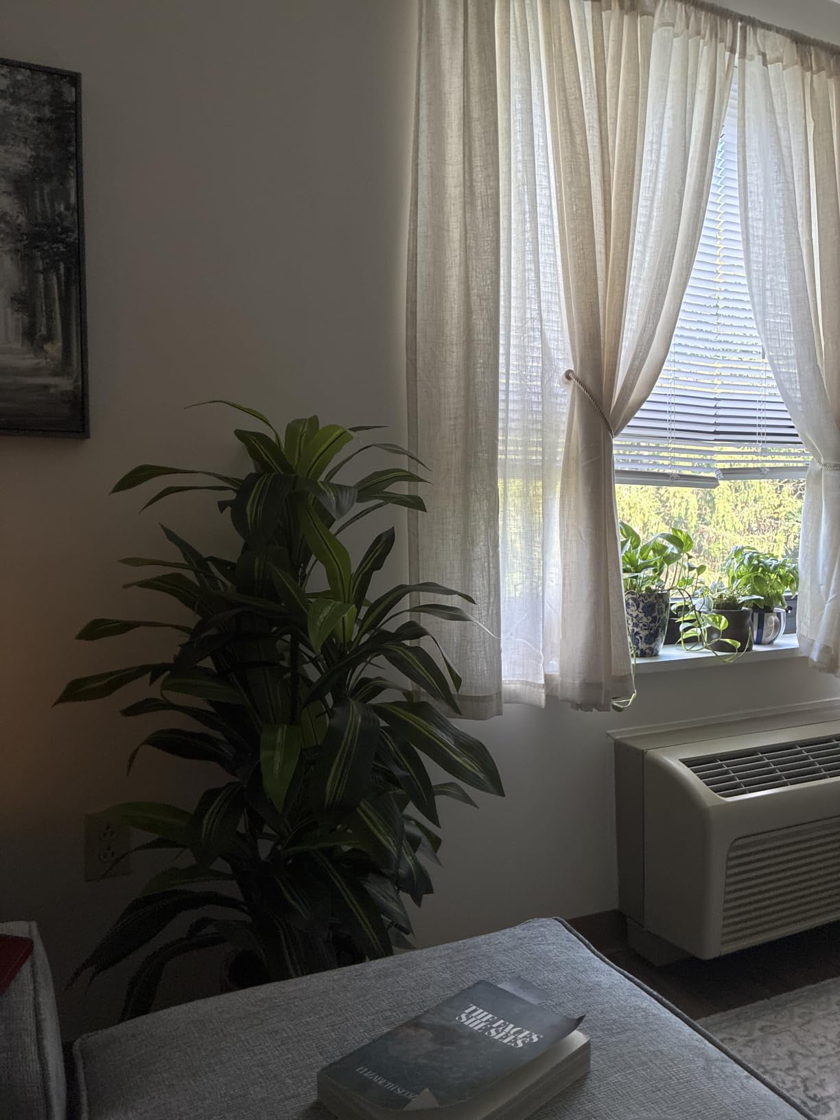 ASTIDY Artificial Plant 5FT Dracaena Fake Tree with White Tall Planter customer photo 2