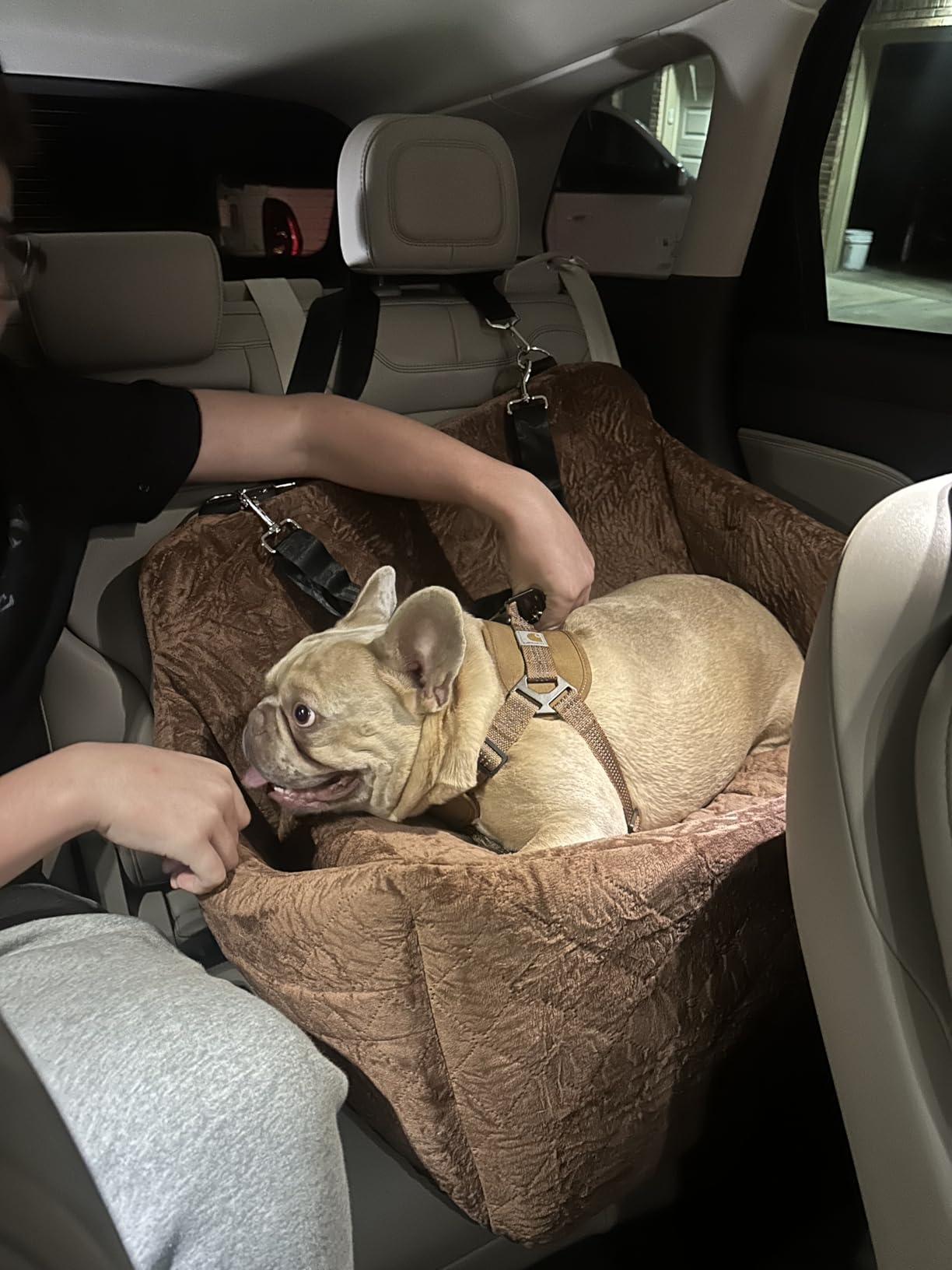 Wooaidagg Dog Car Seat for Medium & Large Dogs Up to 55lbs, Memory Foam Cushion, Washable Cover, Safety Straps & Non-Slip Base(Black/Grey,Large) customer photo 1