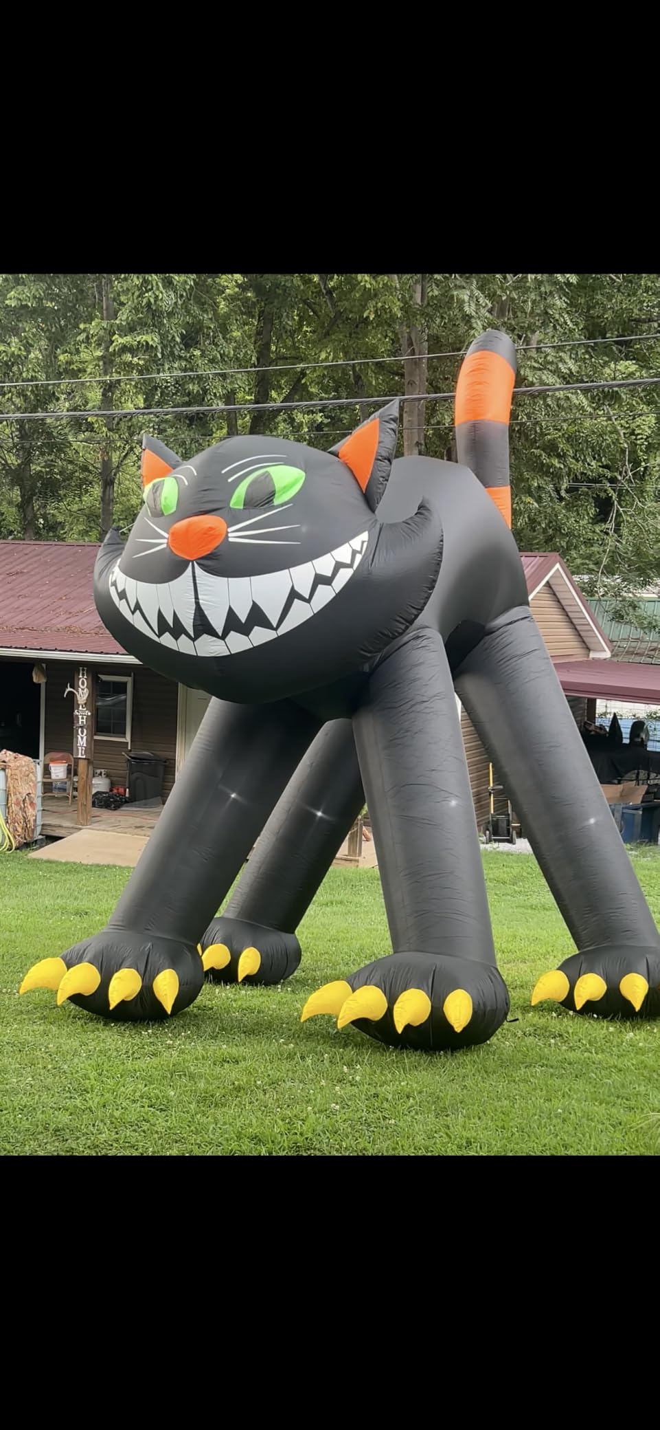 14FT Giant Halloween Inflatable Black Cat, Blow up Halloween Decoration Built-in 7 LED for Halloween Decoration Outdoor Indoor Home Party Supplies Halloween Lawn Decor customer photo 1