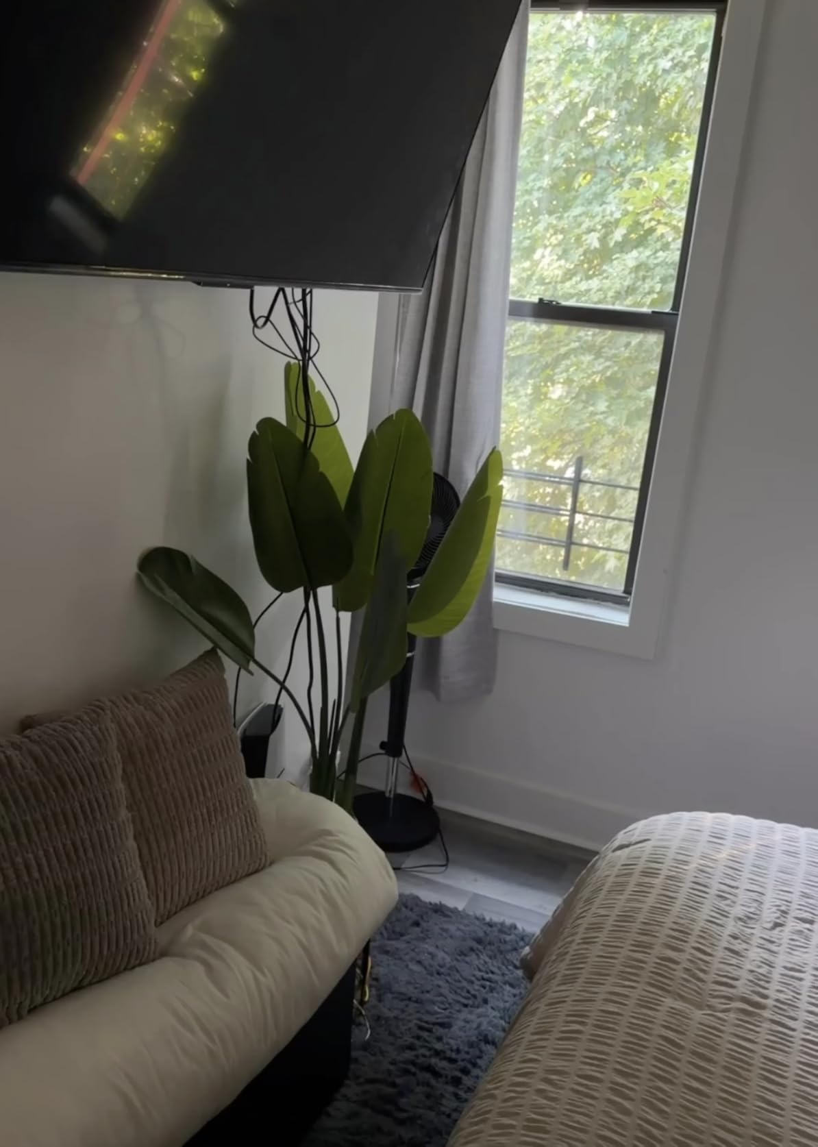 Bird of Paradise Plant Artificial 6ft,Faux Plants Indoor Tall with 12 Trunks - The Perfect Indoor Silk Floor Plant for Home Decor in Living Room, Office, and Bedroom (6FT Bird of Paradise) customer photo 1