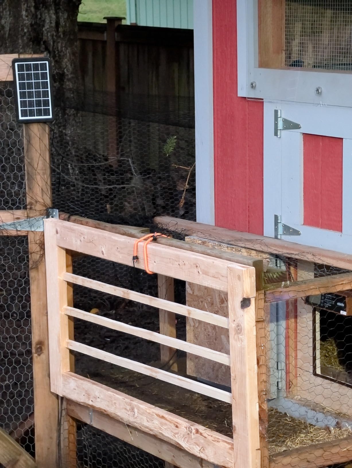 Okkobi Automatic Chicken Coop Door Solar Powered - LCD Display - Chicken Coop Door with Remote Control, Light Sensor & Timer - Security & Peace of Mind: Anti-Pinch Function - 5-Year Protection - Grey customer photo 2