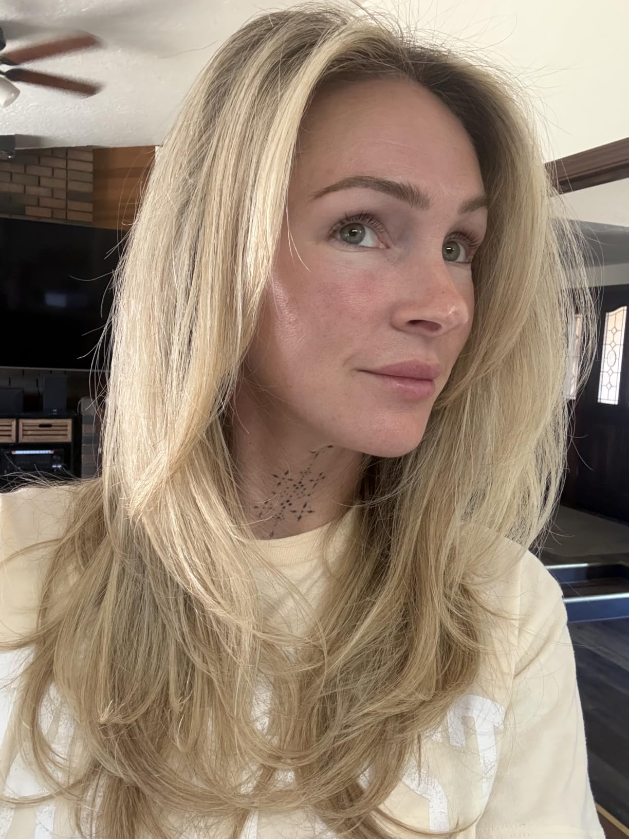 T3 AireBrush One Step Smoothing and Volumizing Hair Blow Dryer Brush, for Fast Drying and Styling with Multiple Heat and Speed Settings, Ceramic and Cool Shot customer photo 1