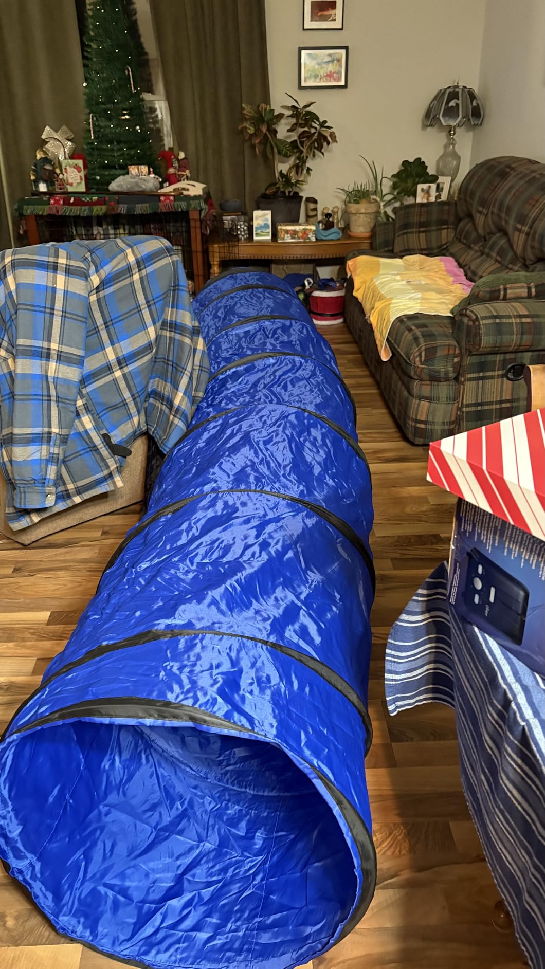 Dog Agility Training Equipment Tunnel:JOPAVO 10 Foot Agility Tunnel with 2 Pack Sandbags, Carry Bag and 4 Ground Spikes.Ideal Agility Equipment for Dog Obstacle Course,Exercise&Park customer photo 2