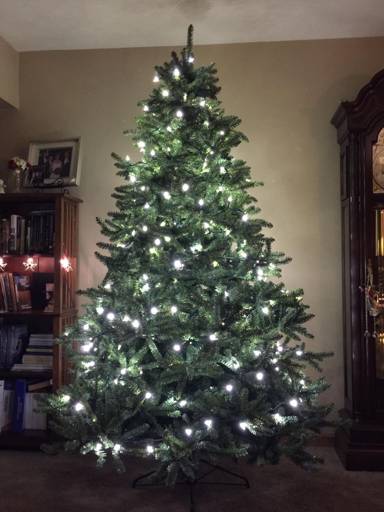 Balsam Hill 15 ft Pre-Lit Classic Blue Spruce - Artificial Christmas Tree with 11,454+ Tips, 3300 Hand-Strung Clear LED Lights, Easy Plug System & Premium Stand for Indoor Holiday Decorating customer photo 2