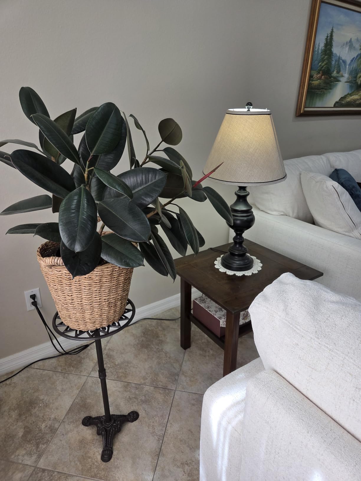 OwnMy Cast Iron Tall Plant Stand Indoor Single Metal Plant Stand Heavy Duty customer photo 2