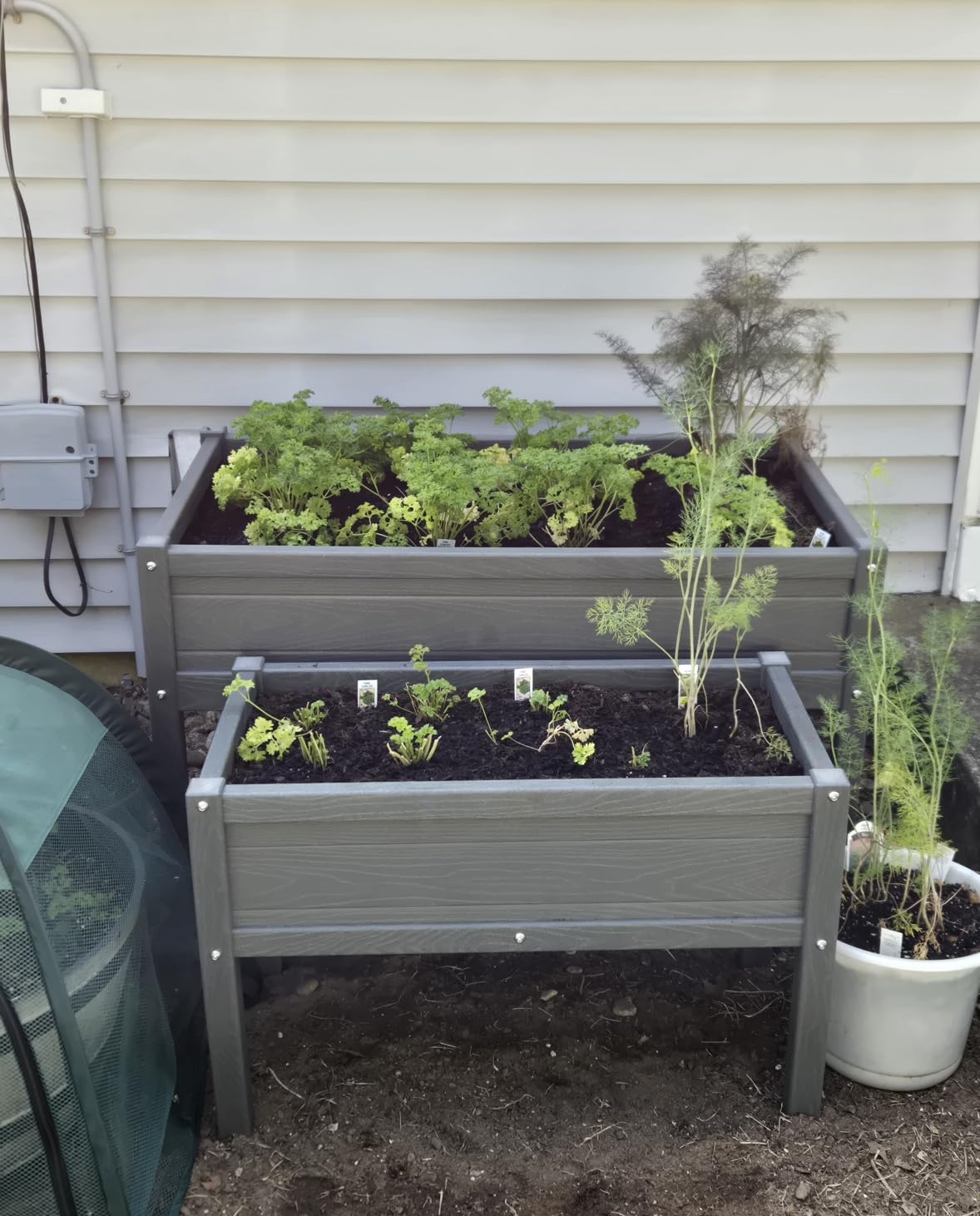 Small HDPE Raised Garden Bed, Elevated Planter Box with Legs, Outdoor All-Weather Planter Raised Beds for Seeds, Herbs, Flowers, Vegetables (Navy Blue) customer photo 1