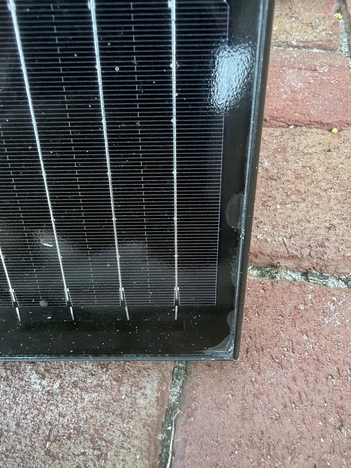 STAR 990W Solar Panel, UL61730 N-Type Solar Panels with Frameless Design | 2PCS 495W Solar Panel 25.6% High-Efficiency Monocrystalline 48V/24V, Reliable Power for RV, Marine, Roof customer photo 1