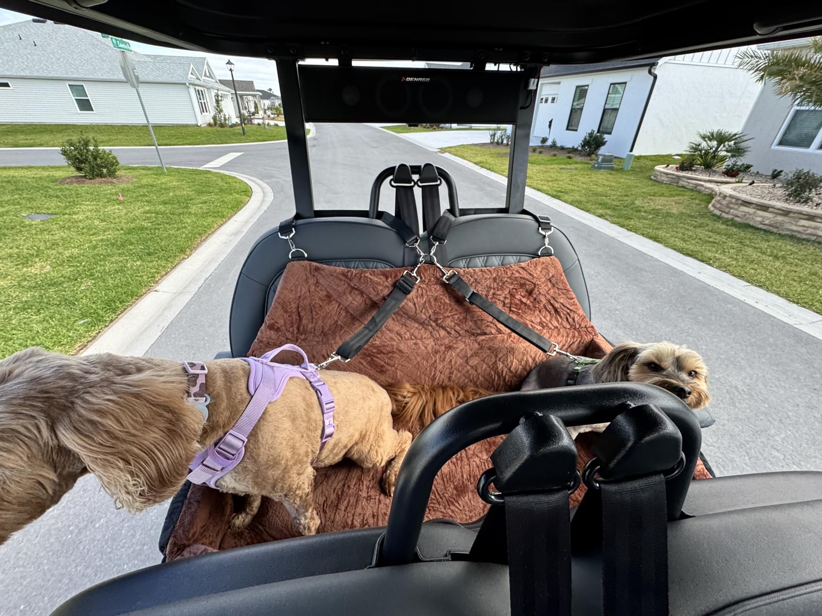 HEGGCOOE Large Dog Car Seat Under 100 lbs, Washable Dog Car Bed for 2 Medium Dogs, Detachable Pet Booster Seat with Storage Pocket and Seat Belt for Back Seat Dog Travel Bed customer photo 1