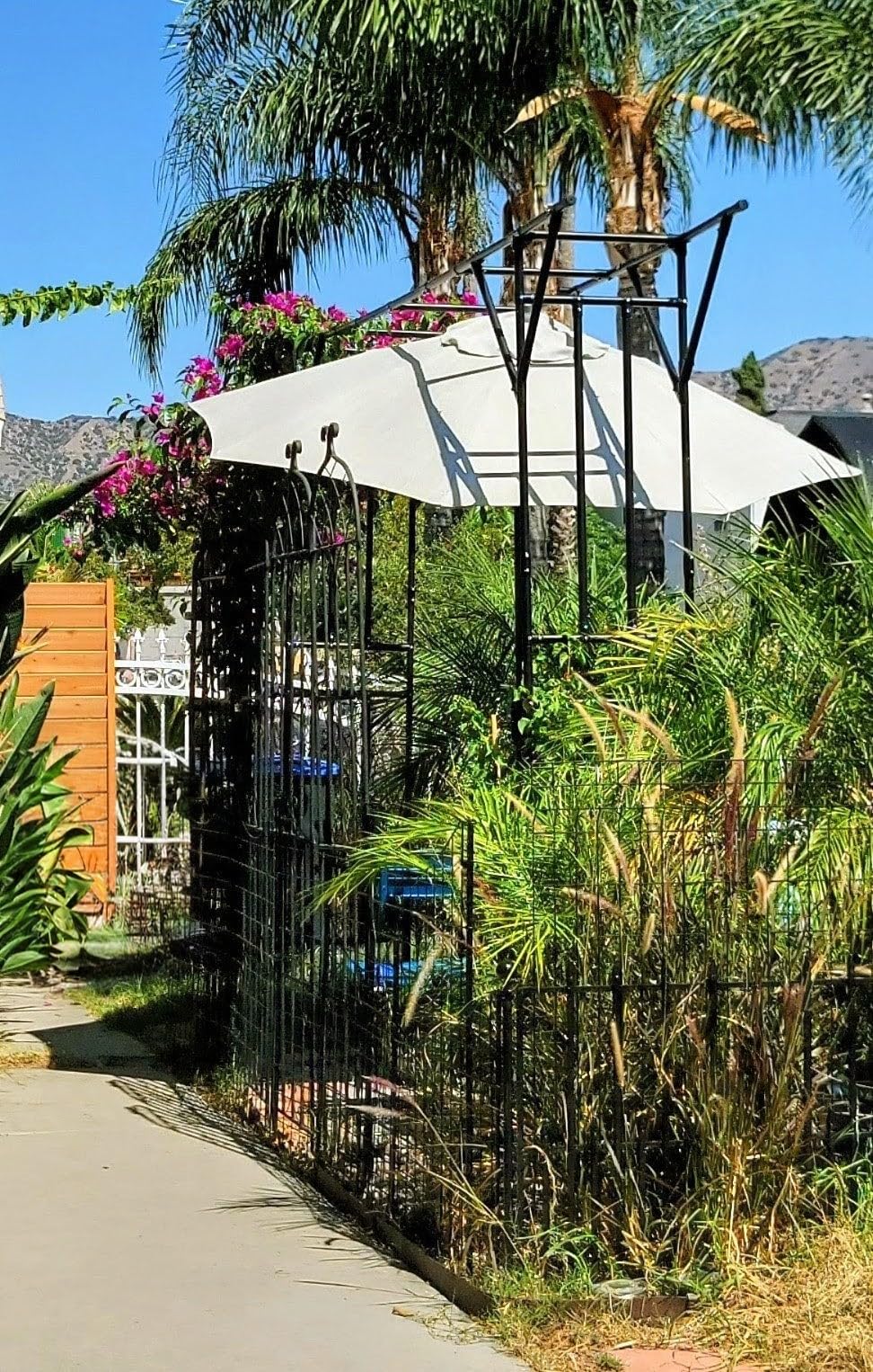 Supersize Flattop Garden Arch - 141