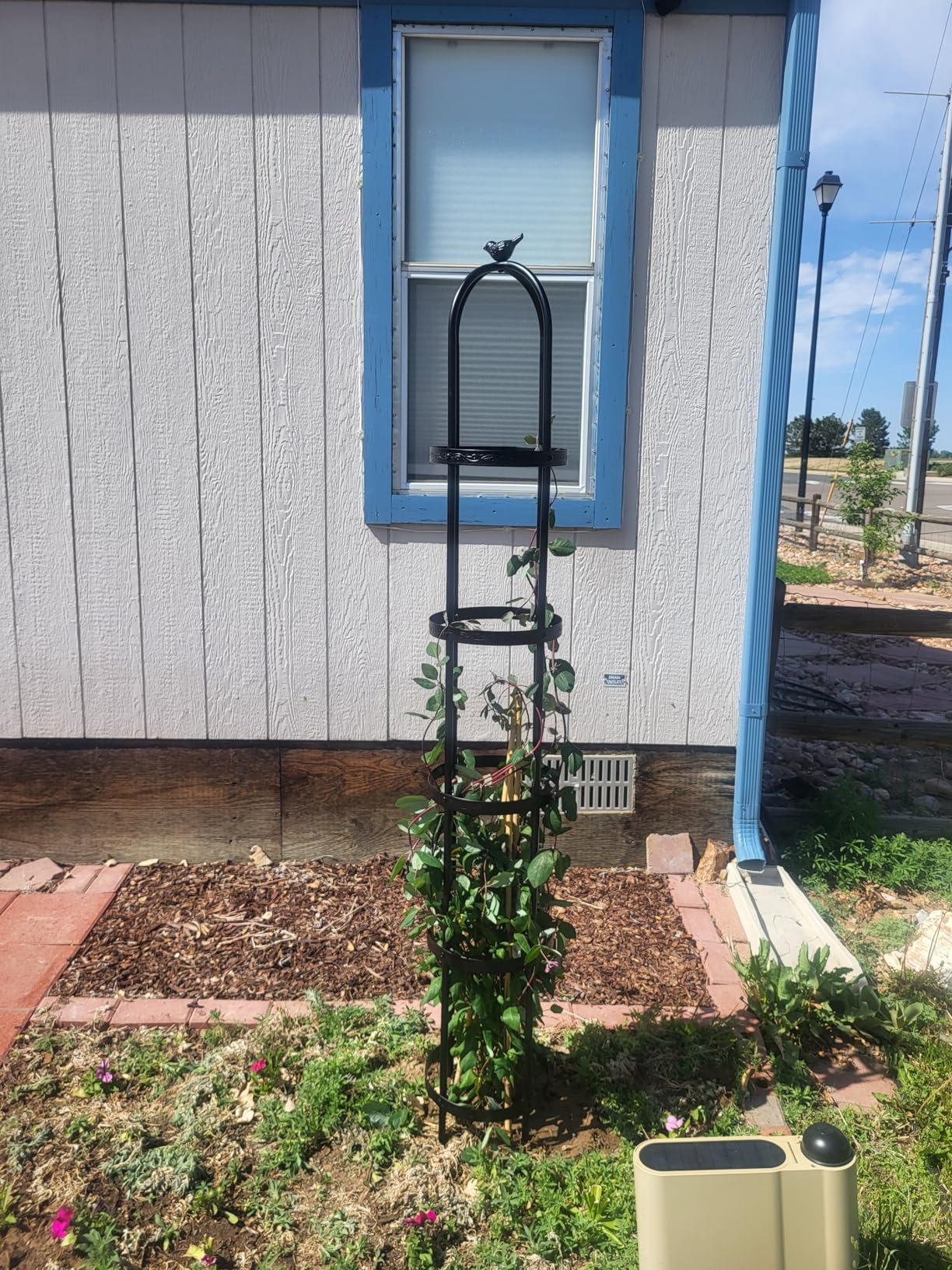 Evergreen 7 ft Garden Trellis for Climbing Plants Outdoor Metal Garden Obelisk, Indoor Plant Trellis for Potted Plants & Heavy Vines Support, Bronze customer photo 1