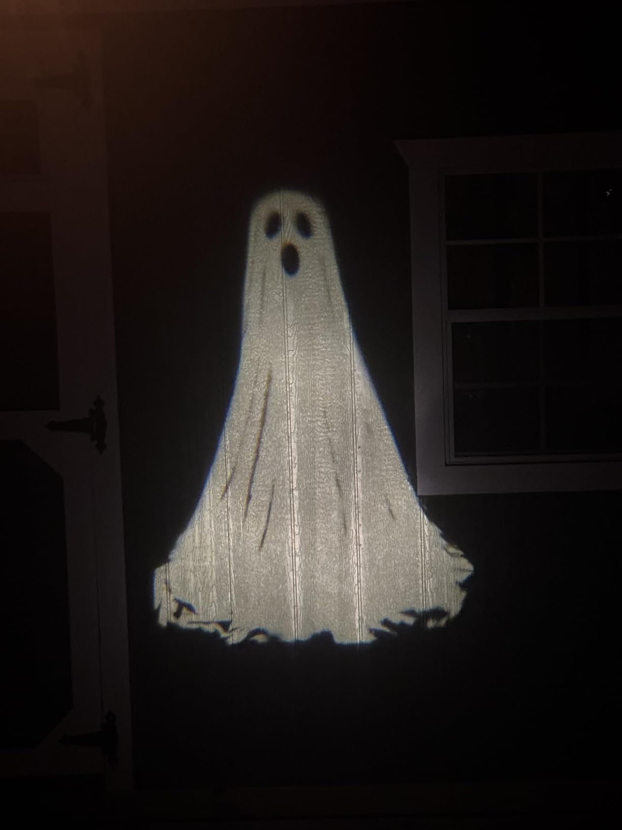 Halloween Projector Lights Outdoor,3D Dynamic Ghost Decorations Light,2026 Upgraded Clearer Ghost HD Patterns,Night Light for Home Window Wall Halloween Decor customer photo 2