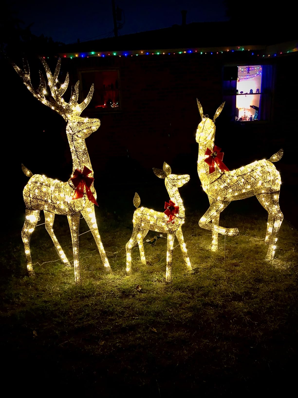 Best Choice Products 6.5ft 3-Piece Large Lighted Christmas Deer Family Set, Outdoor Yard Decoration with 385 LED Lights, Stakes, Zip Ties - Gold customer photo 1