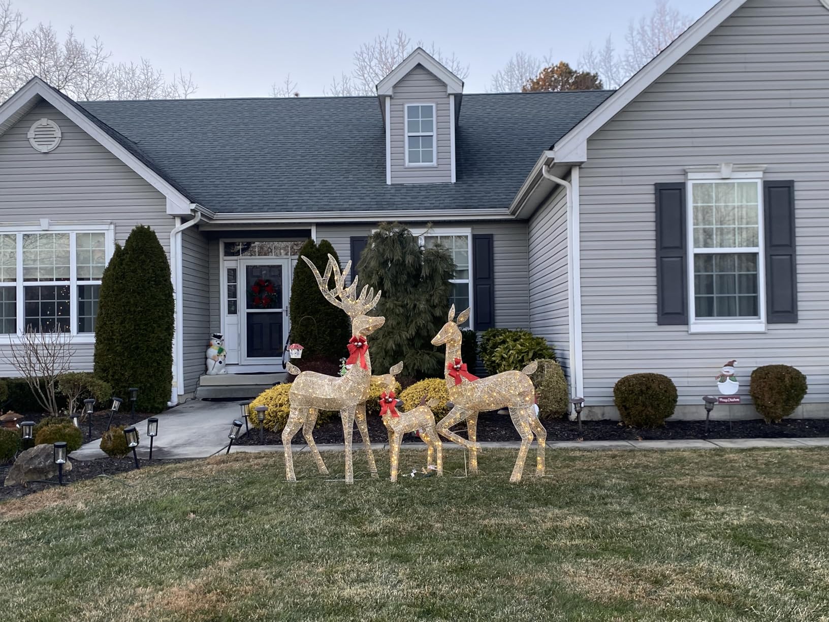 Best Choice Products 6.5ft 3-Piece Large Lighted Christmas Deer Family Set, Outdoor Yard Decoration with 385 LED Lights, Stakes, Zip Ties - Gold customer photo 2
