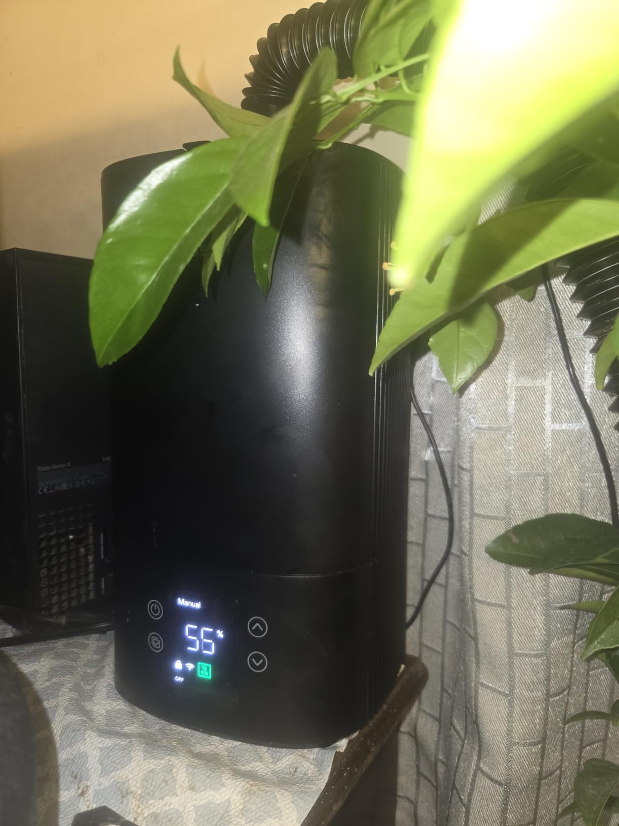 VIVOSUN AeroStream H09 Intelligent Wi-Fi Humidifier, 2.38 Gal / 9 L Humidifier with Temp & Humidity Probe, Smart Remote Control, Designed for Growers customer photo 2