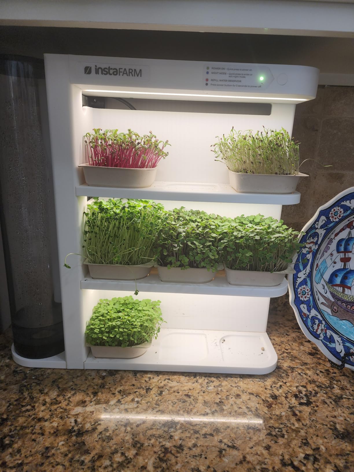 Indoor Garden, Fully Automated LED Growing Unit for Microgreens, Herbs, Leafy Greens, Organic Soil-Based, Low/No Maintenance, Easy, Standalone Unit, Designed & Assembled in The USA customer photo 1