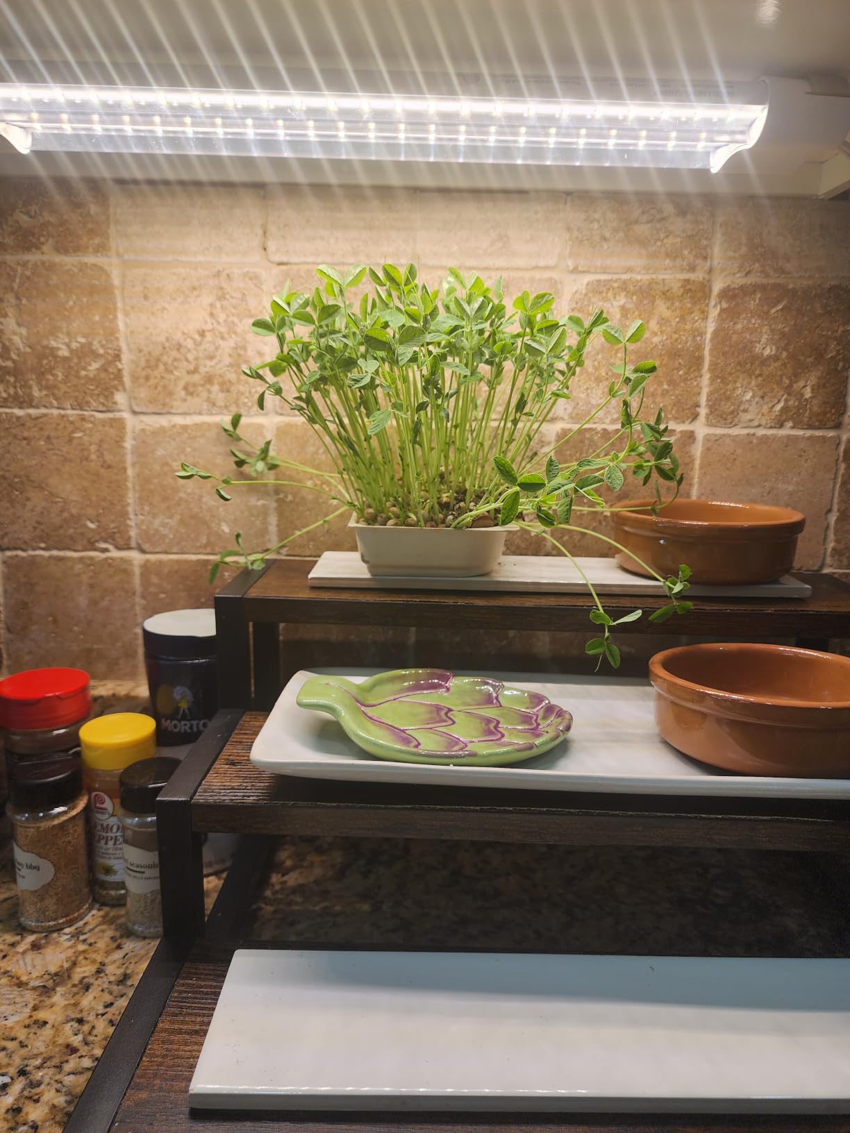 Indoor Garden, Fully Automated LED Growing Unit for Microgreens, Herbs, Leafy Greens, Organic Soil-Based, Low/No Maintenance, Easy, Standalone Unit, Designed & Assembled in The USA customer photo 2