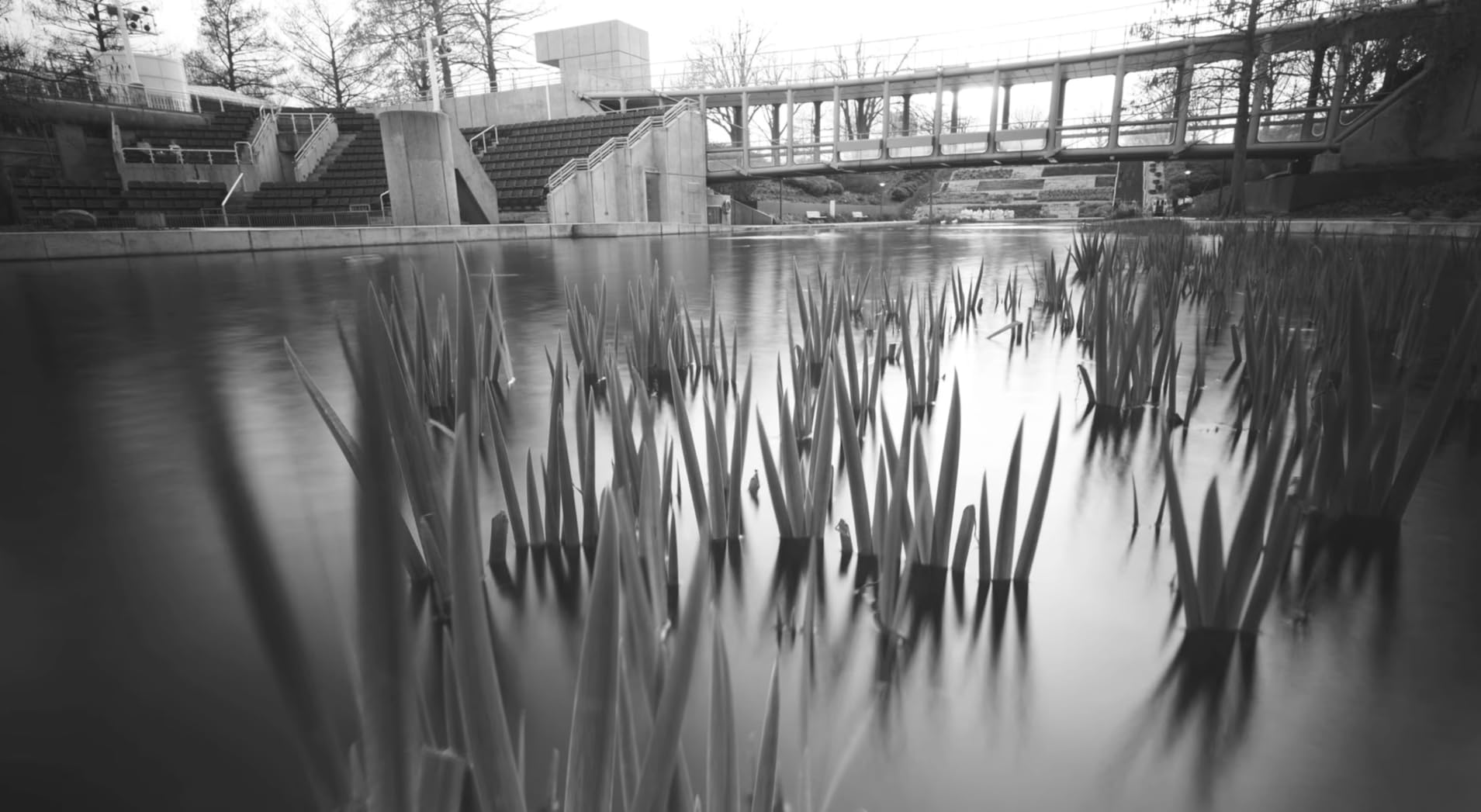 H&Y RevoRing Mark II Adjustable 67-82mm Variable ND3-1000 & CPL Lens Filter | Wide-Angle German Optics customer photo 2