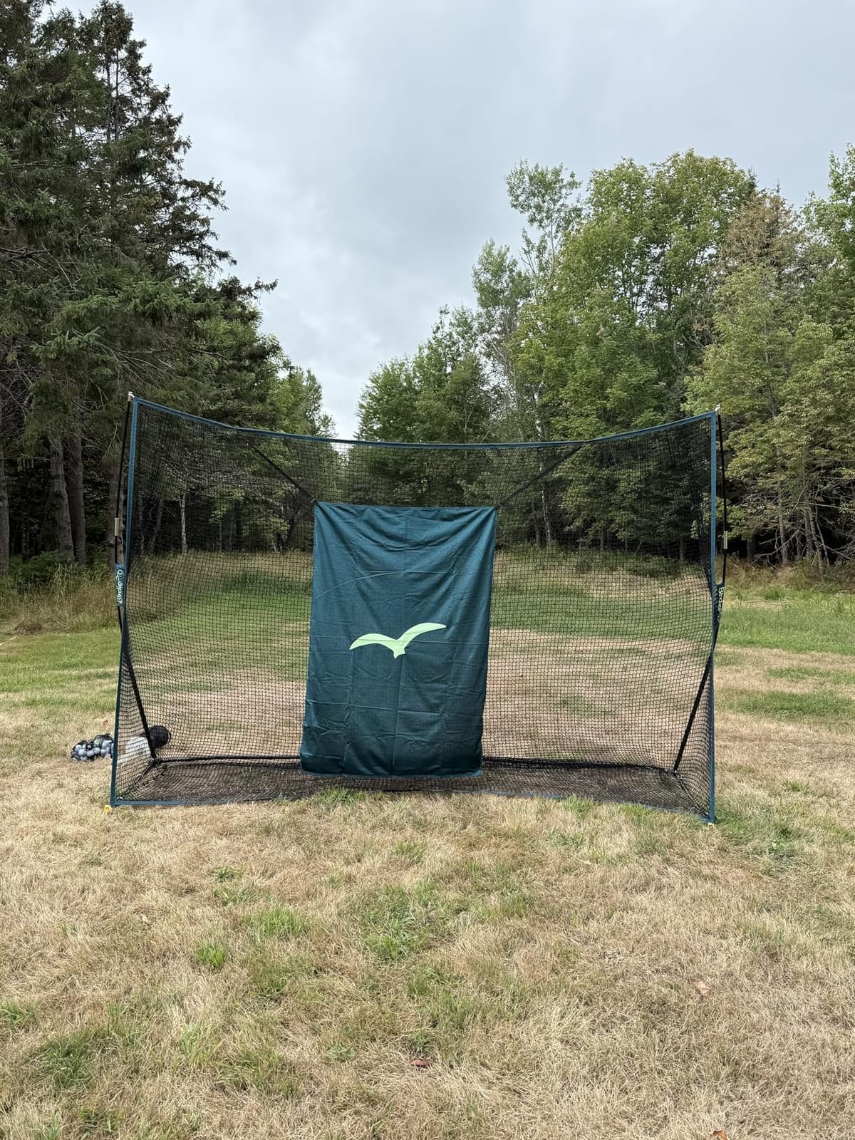 BirdiePro - American Pro Golf Practice Net, 10x7ft Heavy Duty Golf Hitting Net with EchoShield Target & FlexWeave Net, Indoor Outdoor Training Backyard, Full Set with Mat, Balls & Cap customer photo 1