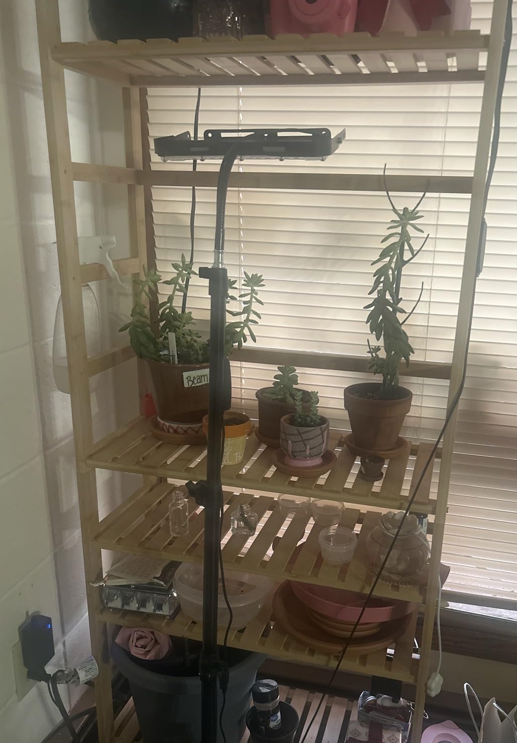 VEVOR 4-Tier Bamboo Ladder Shelf, Trapezoid Open Bookcase, Display Storage Rack Organizer, Freestanding Flower Plant Stand, Ladder Bookshelf Ideal for Bathroom, Bedroom, Office, Study, Natural customer photo 2