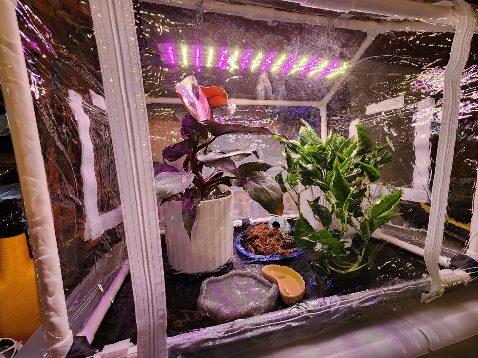 Meonum Mini Greenhouse with Grow Light, 23.6