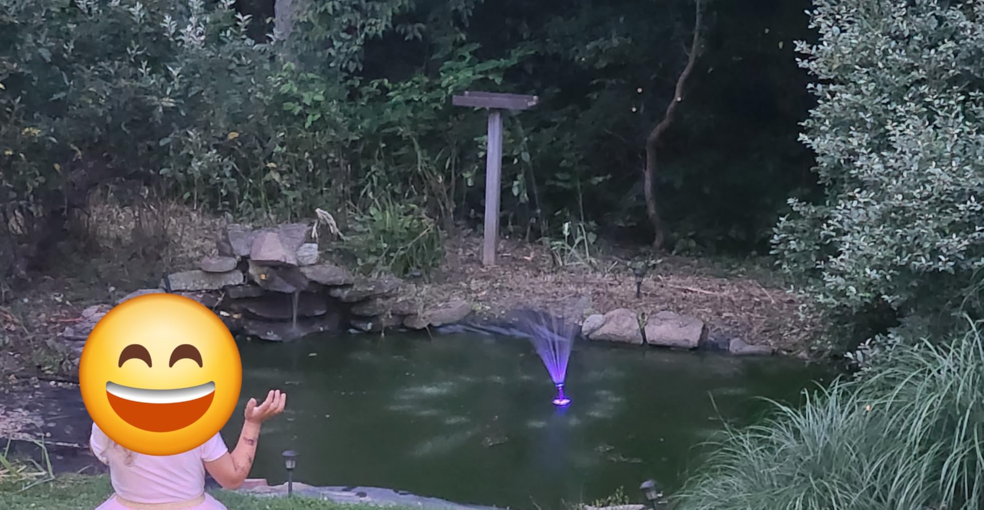 AquaMiracle All-in-1 Pond Fountain Kit 550GPH with 3-Spray Patterns Pond Filters System for Outdoor Ponds with Color LED & U - V Light to Clean Green Water Fountain Pump for 200-500 Gallon Ponds customer photo 1