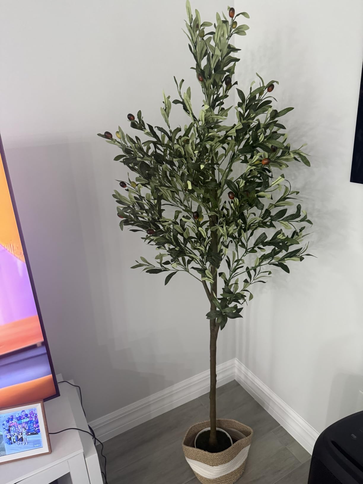 6FT Artificial Olive Tree Indoor Tall Faux with Planter&Basket | Large Fake Olive Silk Trees Realistic Olive Plants with Branches and Fruits for Home Decor Office Living Room customer photo 1
