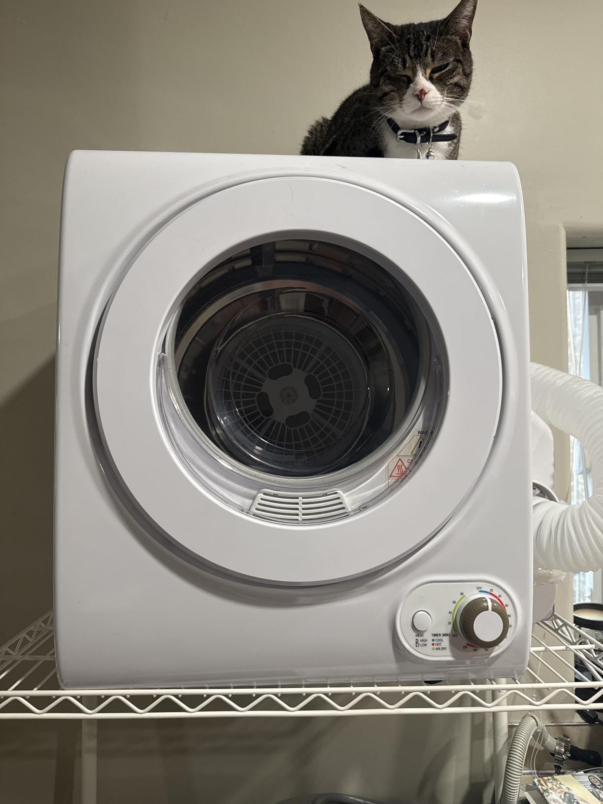 Feelfunn 850W Portable Clothes Dryer with 4 Automatic Drying Modes | Runs on 110V and Combines a Stainless Steel Tub with a Simple Control Knob for Compact Living Spaces customer photo 1