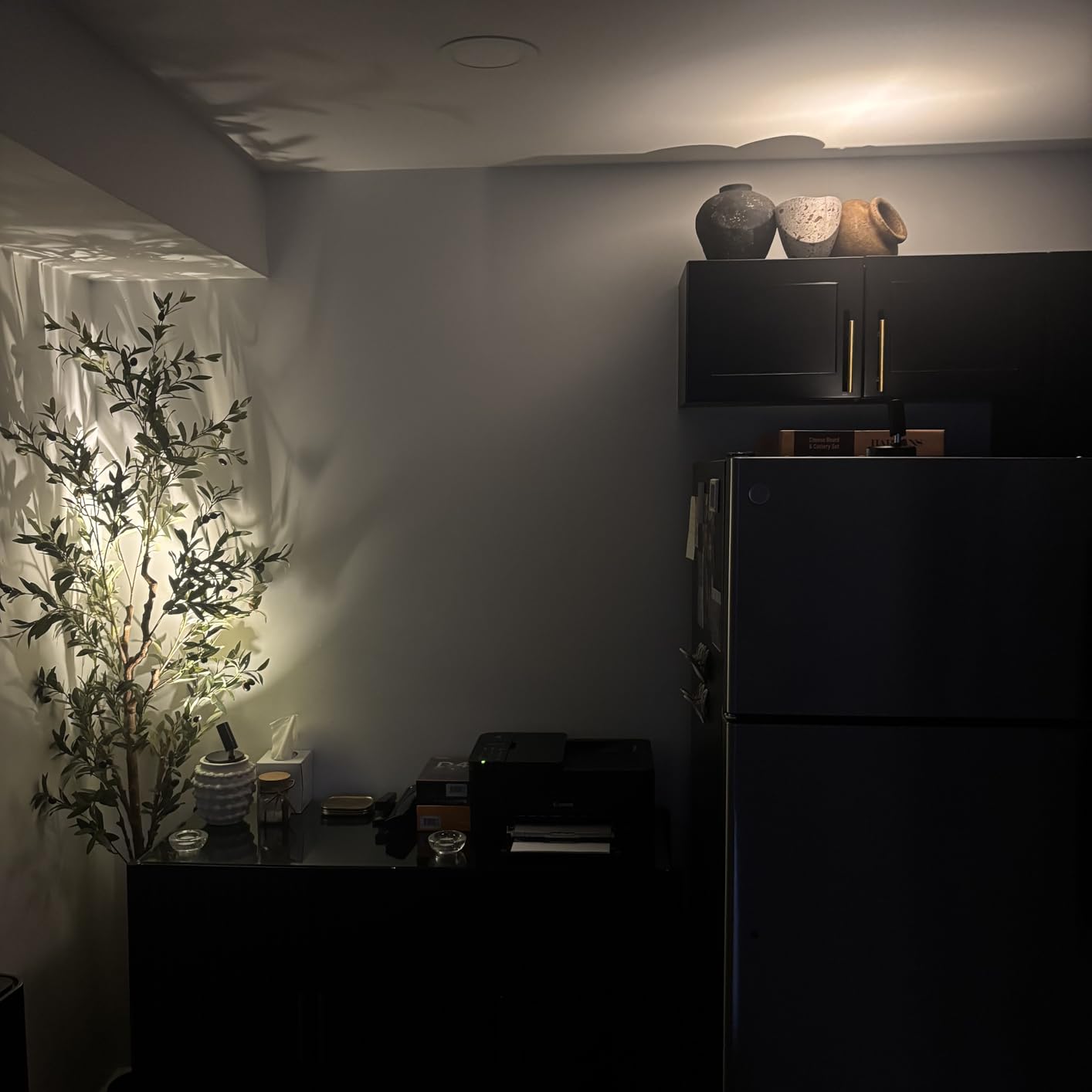 EZVALO Indoor Spotlights, Picture Lights for Wall, Uplights | 5500mAh Rechargeable Battery, with Remote, Mini, Wireless, Magnetic, Timer, 3 Color Temps, Plant, Art, Wall Decor, 2-Pack customer photo 2