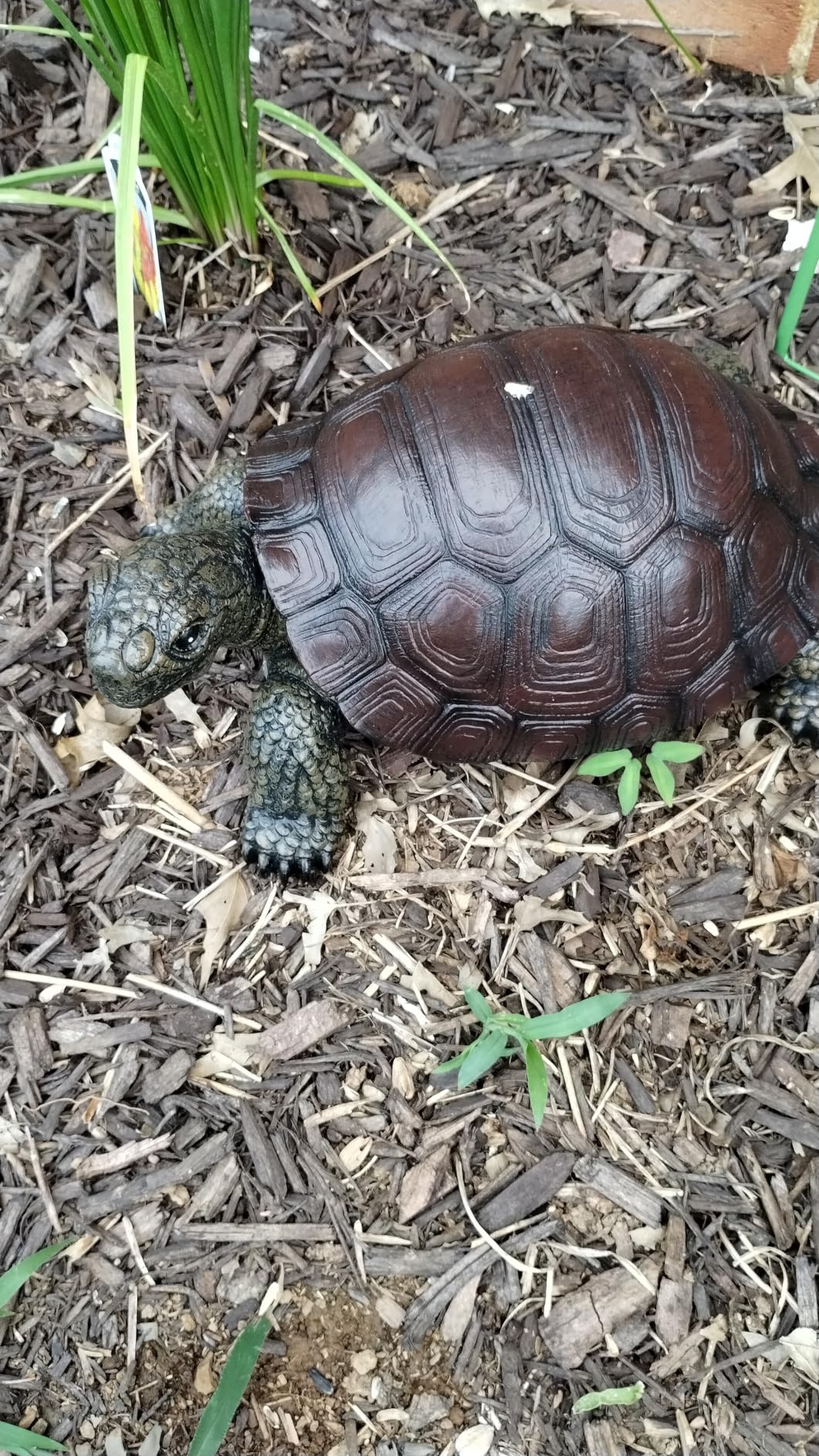 Weather-Resistant Resin Turtle Statue Decoration, Exquisite Handicraft, Artistic Simulation Animal Sculpture, Suitable for Outdoor Gardens, Courtyards, Ponds customer photo 1