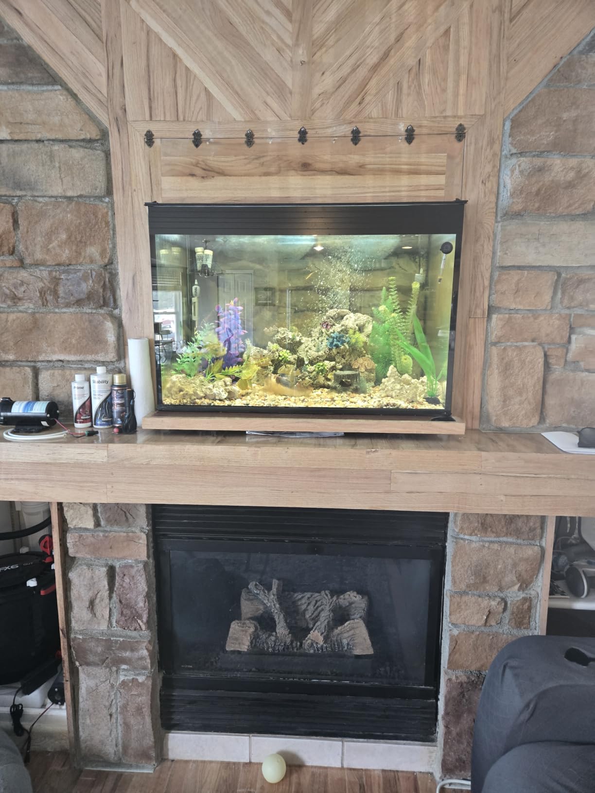 100 Gallon-A Starfire Aquariums with Center Overflow 48x20x24 H 12mm Starfire/Low Iron Glass customer photo 1