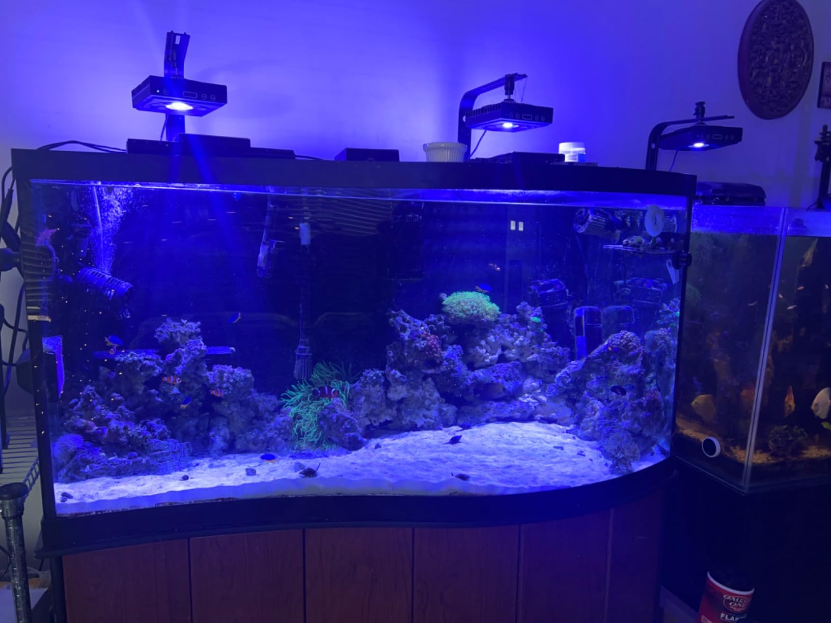 Bulk Reef Supply 4 Stage Value Plus 75 GPD RO/DI Reverse Osmosis Deionization System customer photo 1