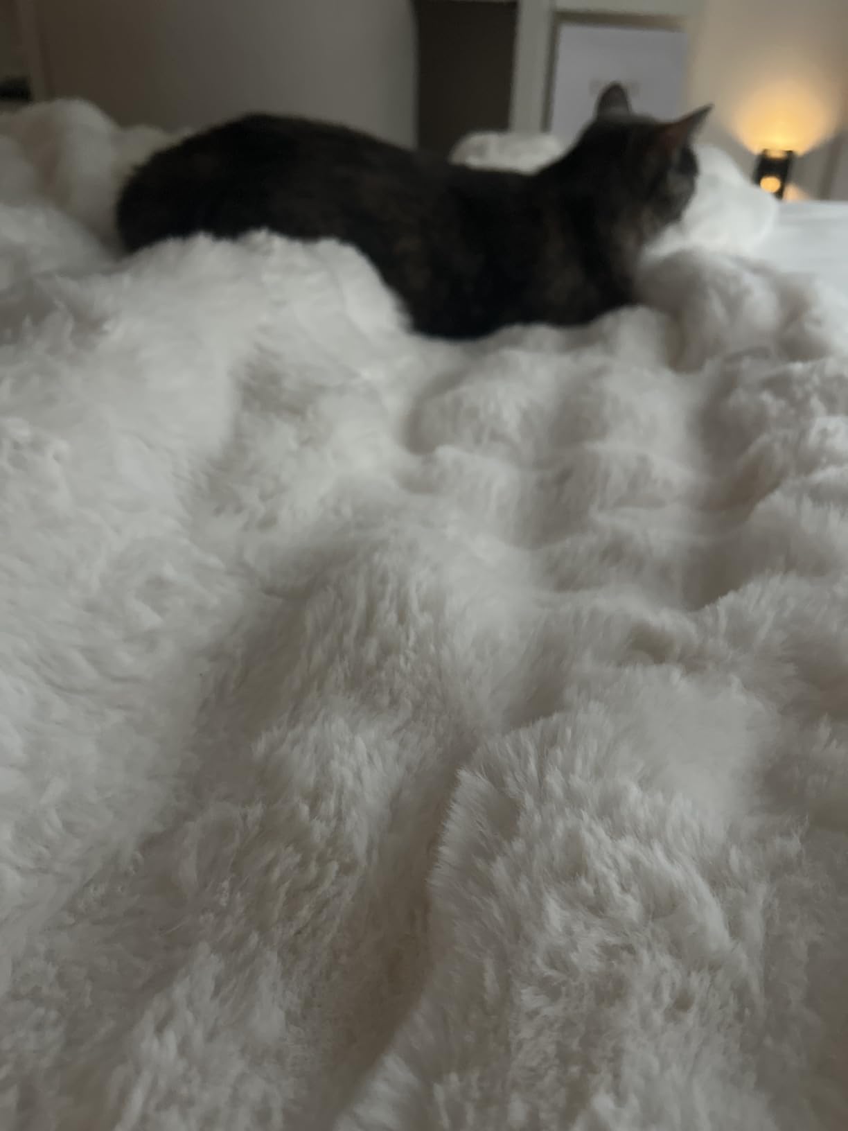 Ultra Soft Cozy Faux Fur Throw Blanket, Fuzzy Plush Thick Bubble Blanket, Oversize Luxury Fluffy Blanket for Couch, Bed, and Living Room, 60x80 Inches, Cream White customer photo 2