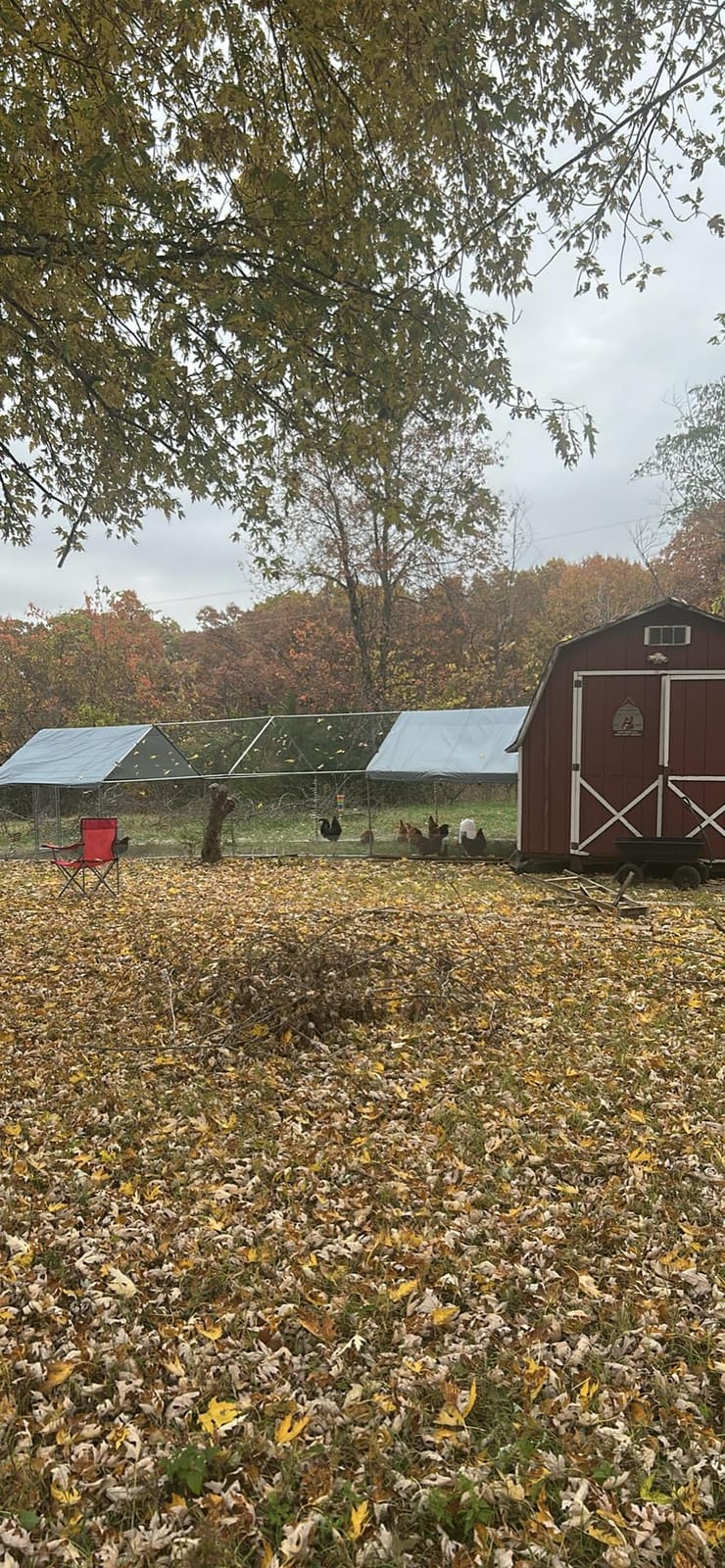 PawHut Large Chicken Coop Metal Chicken Run with Waterproof and Anti-UV Cover, Spire Shaped Walk in Fence Cage Hen House for Outdoor and Yard Farm Use, 1