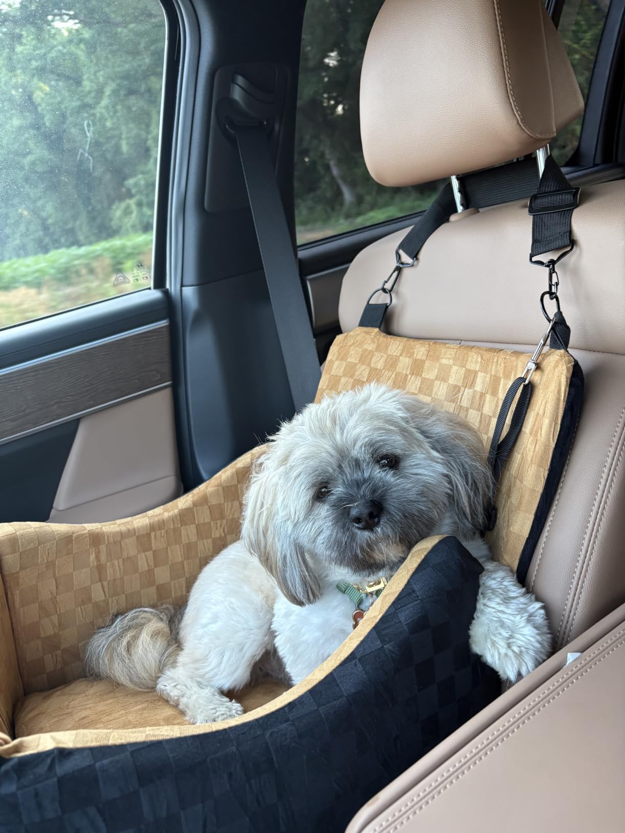 JOEJOY Elevated Dog Car Seat for Small/Medium Dogs up to 35 lbs, Memory Foam Booster Seat with Detachable Washable Cover, Travel-Safe Car Bed with Safety Belts & Storage Pockets, Grey customer photo 2