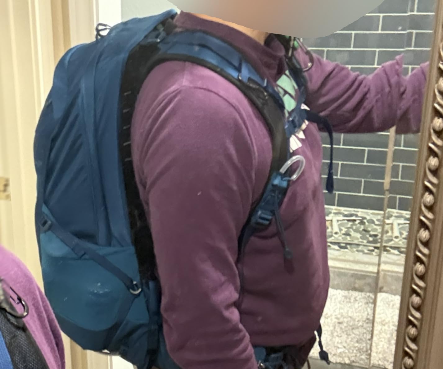 Osprey Talon 22L Men's Lightweight Hiking Backpack - Small Daypack for Travel & Camping, Phantom Grey/Dark Charcoal customer photo 1