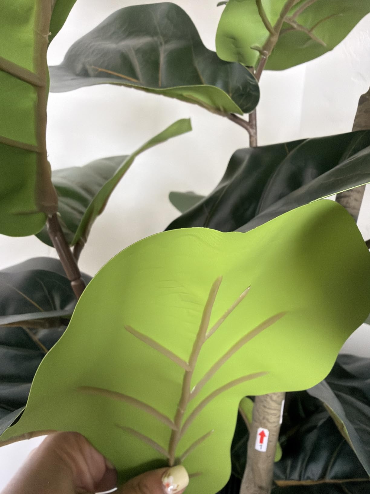 VIVATREES 6FT Fiddle Leaf Fig Artificial Tree with White Planter Pot, Faux Floor Plant, Indoor and Outdoor Fake Plants for Home Office Decor customer photo 1